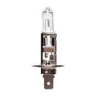 H1 12-55IM