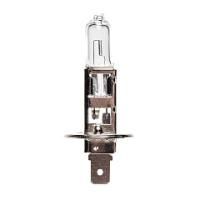 H1 12-55IM