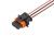 AX319 AX319